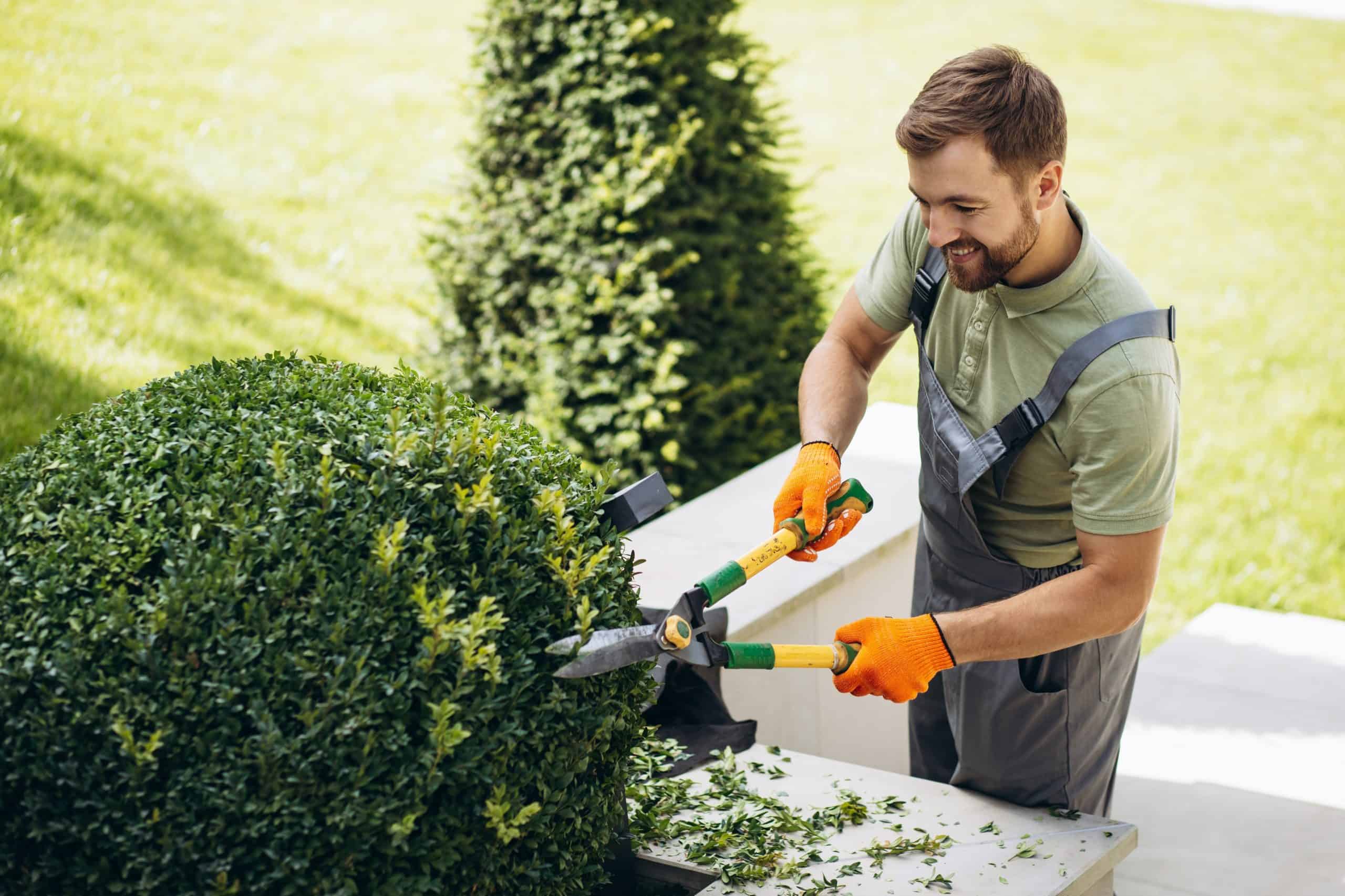 A man in overalls and orange gloves is using hedge clippers to trim a round bush. He's outdoors with grass and another bush visible in the background, smiling as he provides expert tree trimming Lehigh County service while enjoying his work in the garden.